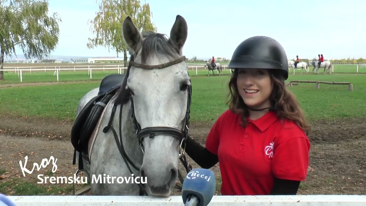 Kroz Sremsku Mitrovicu: Konjički klub „Srem“, Ergela „Proleće“, KPZ Sremska Mitrovica