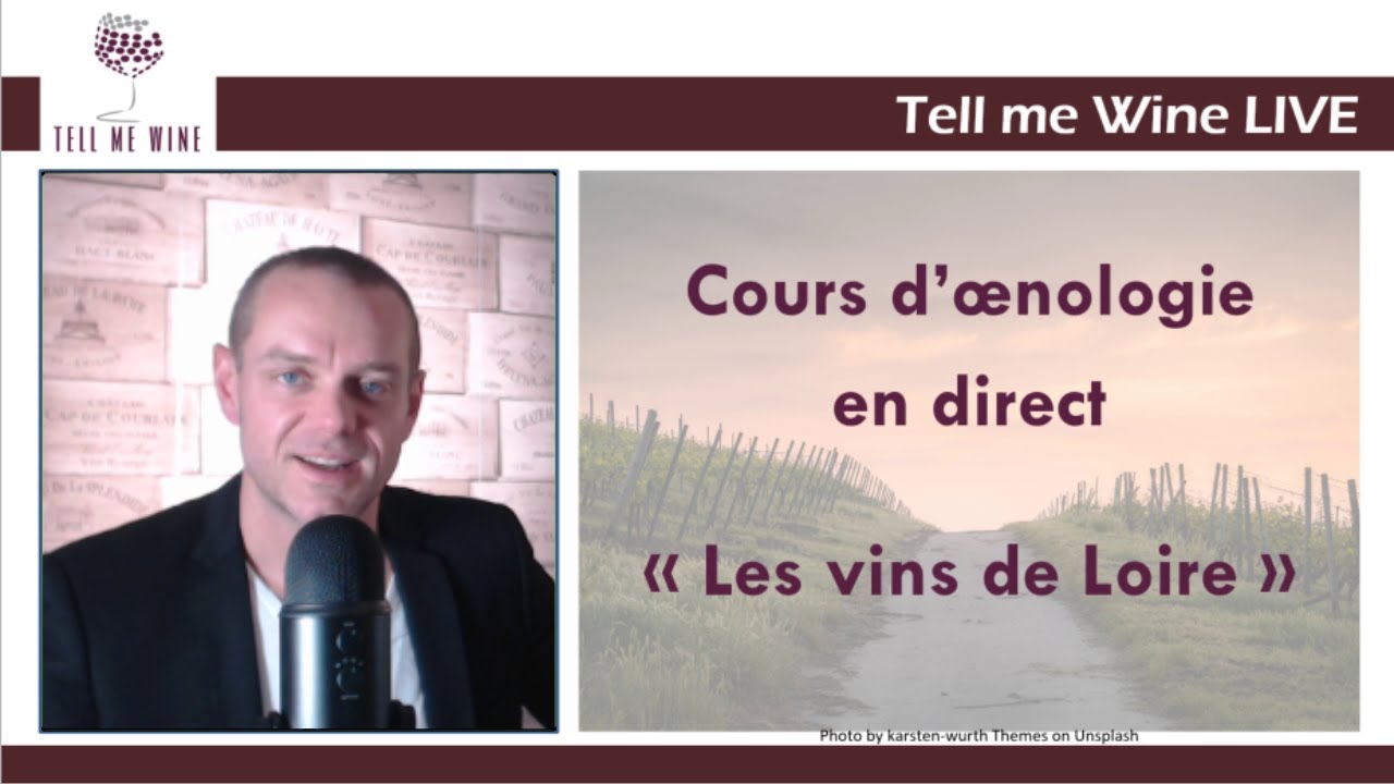 COURS D'OENOLOGIE : LES VINS DE LOIRE - Devenez incollable