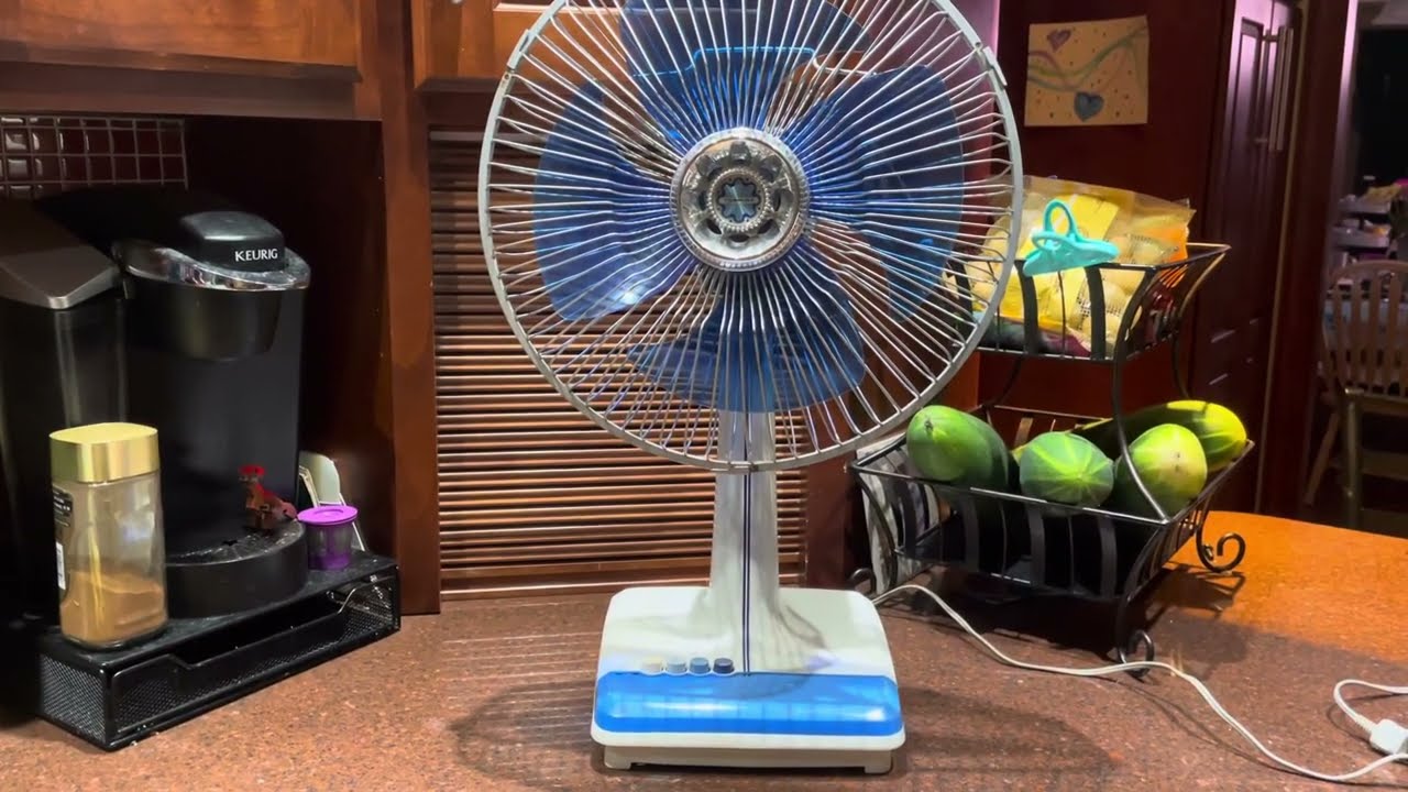 Vintage Toshiba 12” Oscillating Fan (Japan)