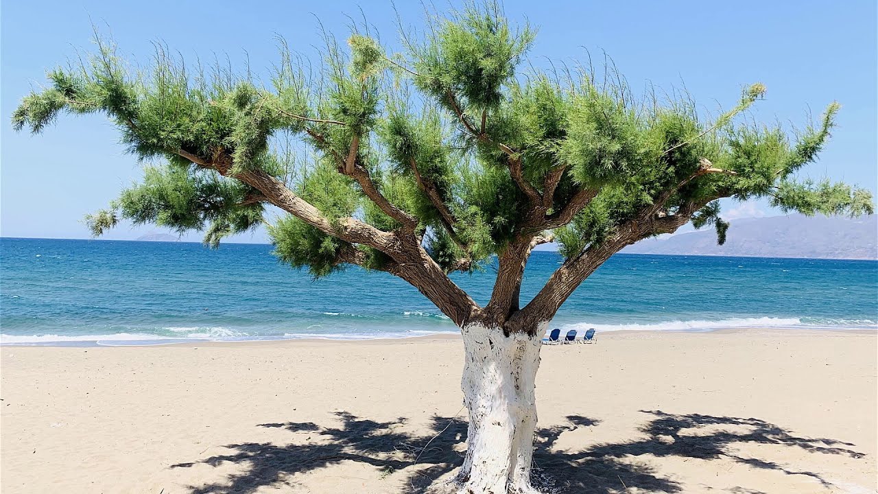 Kreta im Uhrzeigersinn. Vom Hippiedorf in den Ort der Seelenruhe.