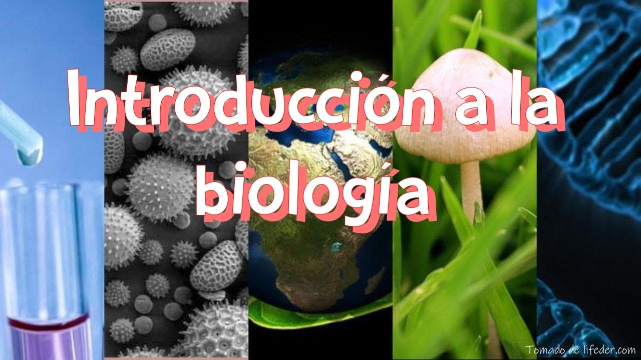 Introducci&oacute;n a la biolog&iacute;a