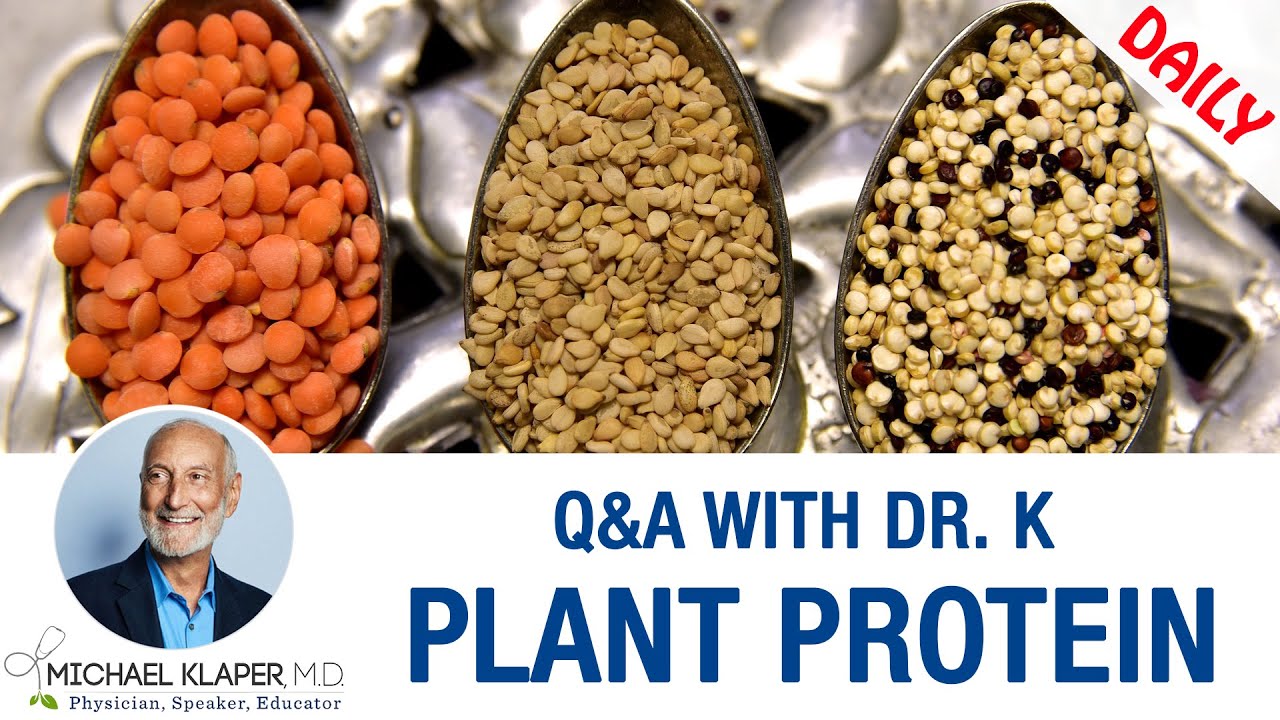 Plant-Based Protein - Is It As Complete As Animal Protein?