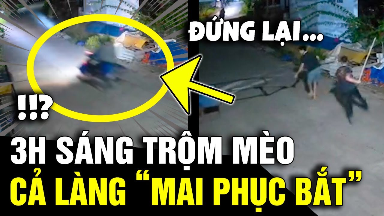 3h sáng đi ĂN TRỘM MÈO, 2 thanh niên bị cả làng MẬT PHỤC GIĂNG LƯỚI như trong phim |Tin Nhanh 3 Phút