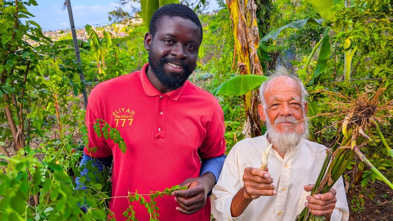 We Explored Jamaican Herbal Remedies Used for Over 100 Years