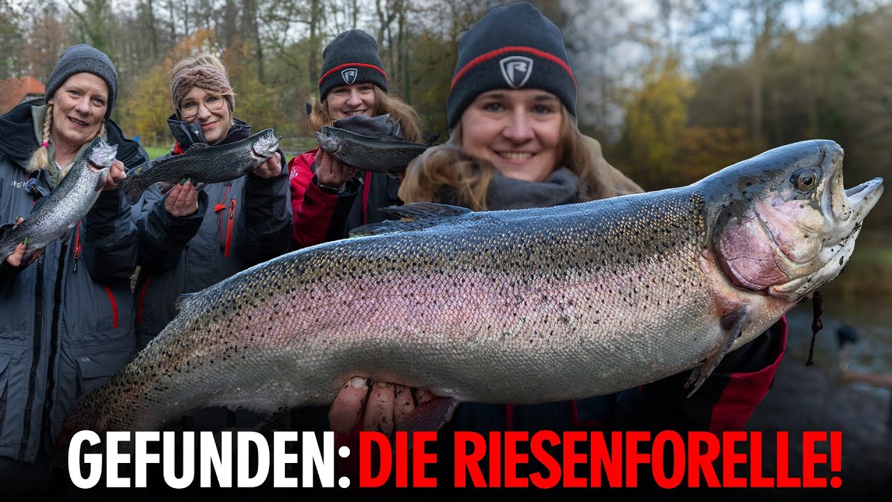 Ein Angeltag auf Forelle wie aus dem Bilderbuch inkl. RIESENFORELLE! 😮