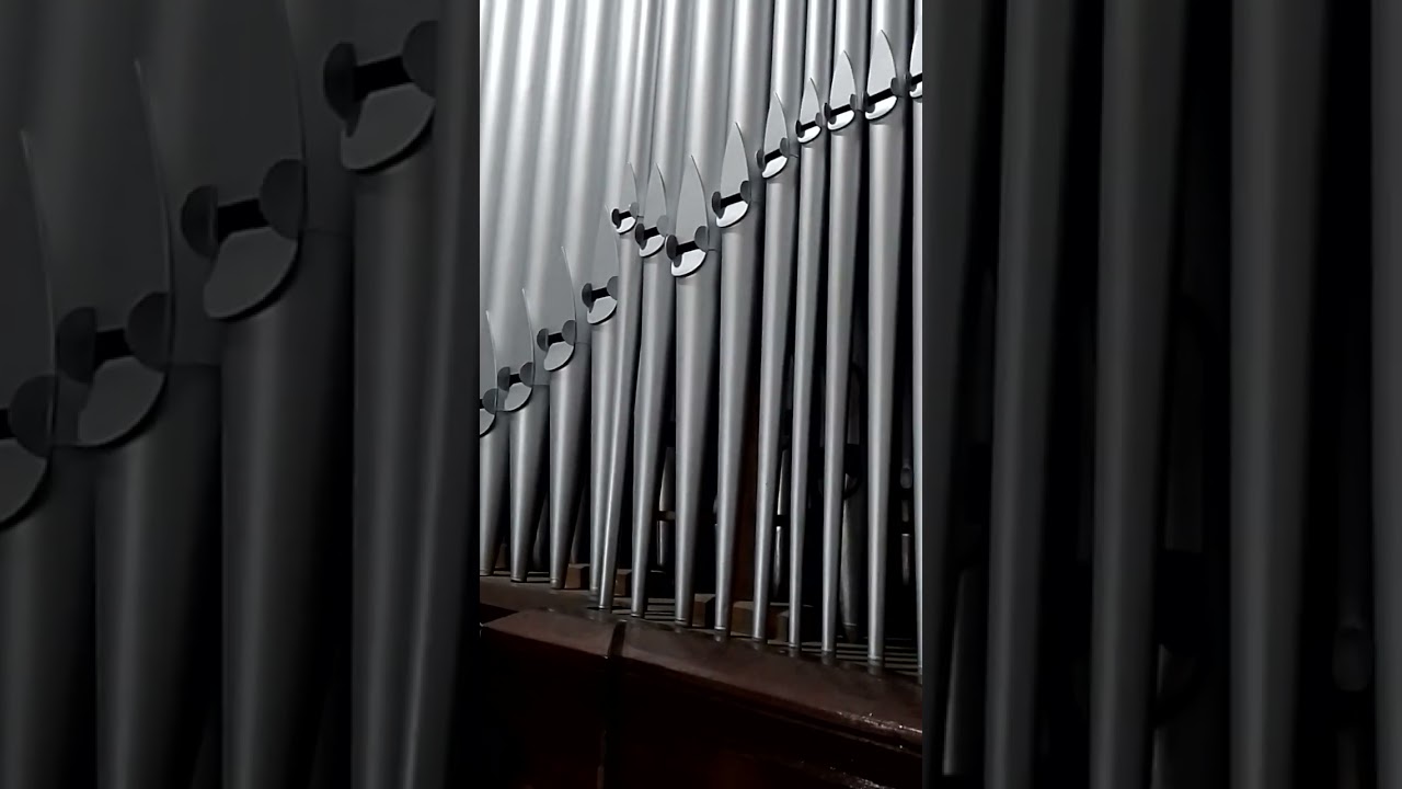 Gloria Francisco Palazón|Órgano Natale Balbiani|Basílica Menor Nuestra Señora Del Carmen|La Ceja Ant