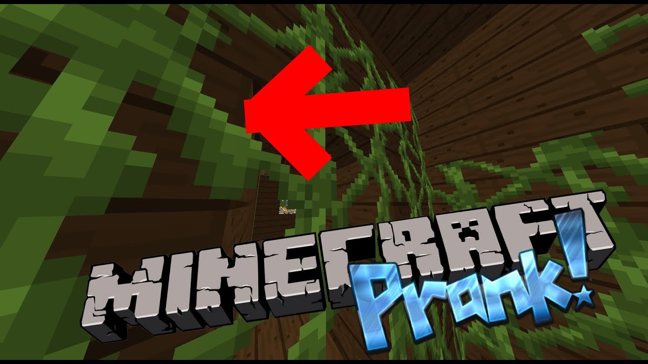 Minecraft | Skypranks - VINE STAR PRANK