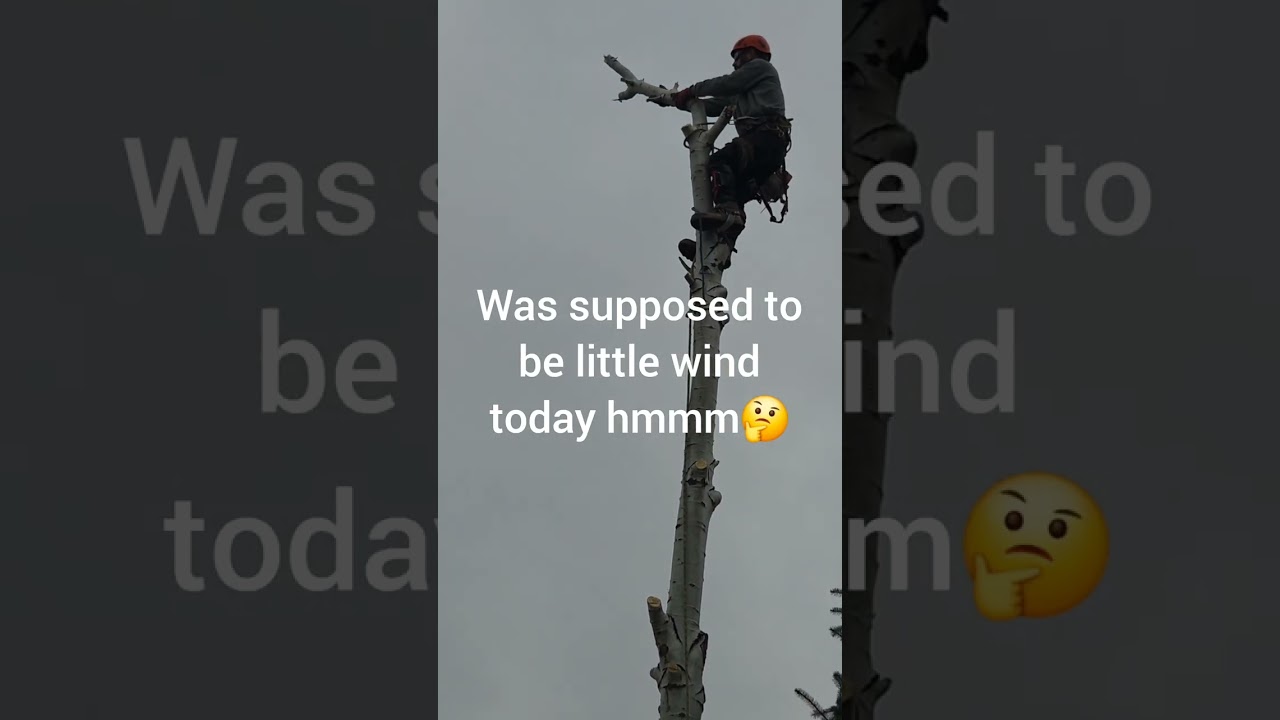 Good ole treework.