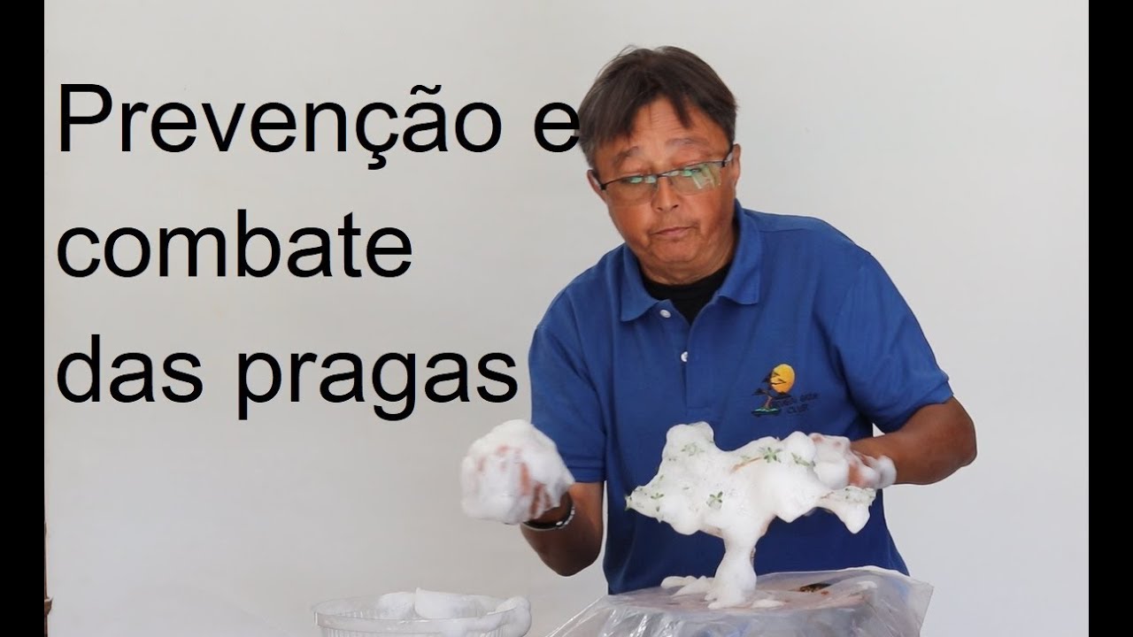 Prevenção e combate a pragas