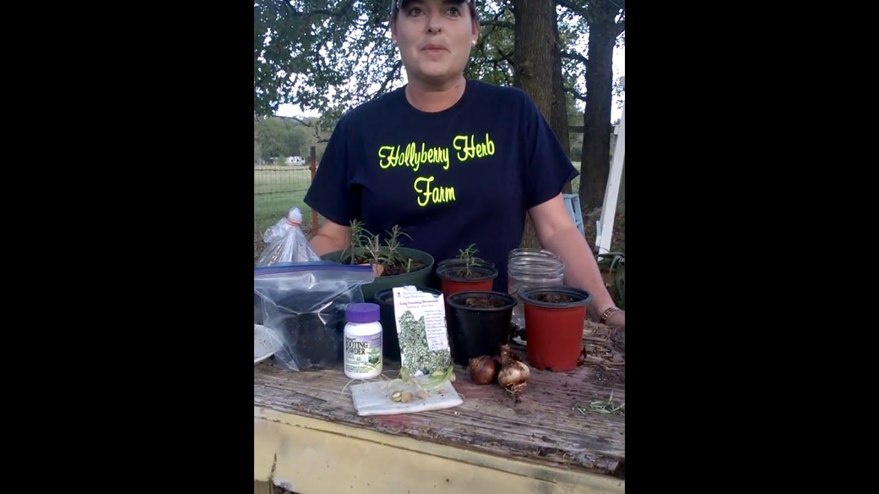 Welcome to Plant Freedom