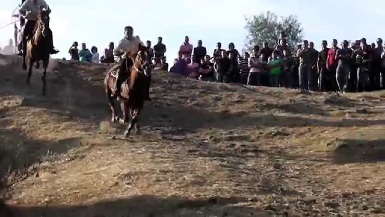 ARDIA A SA SERIA  SEDILO 2013