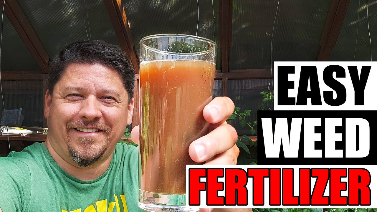 Easy DIY Weed Fertilizer