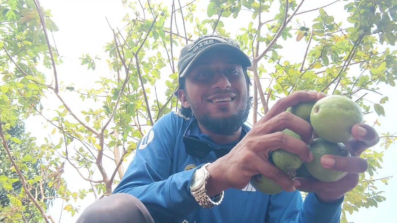 আরাব 