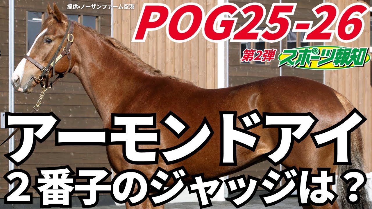 【POG2025-26】注目２歳馬９頭を厳選！矢作厩舎の３頭、田中博厩舎のエピファネイア産駒、アーモンドアイ２番子も徹底取材