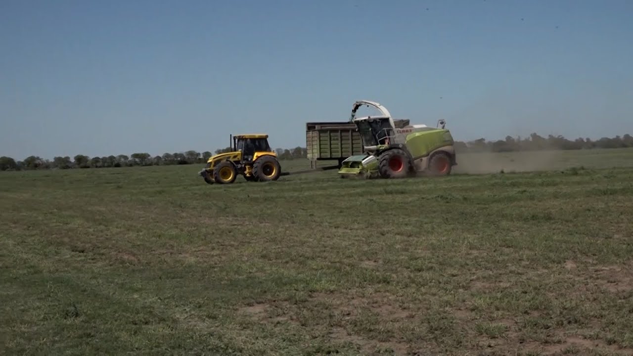 SANTIAGO RURAL 553