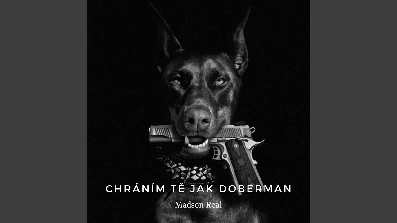 Chráním tě jak doberman