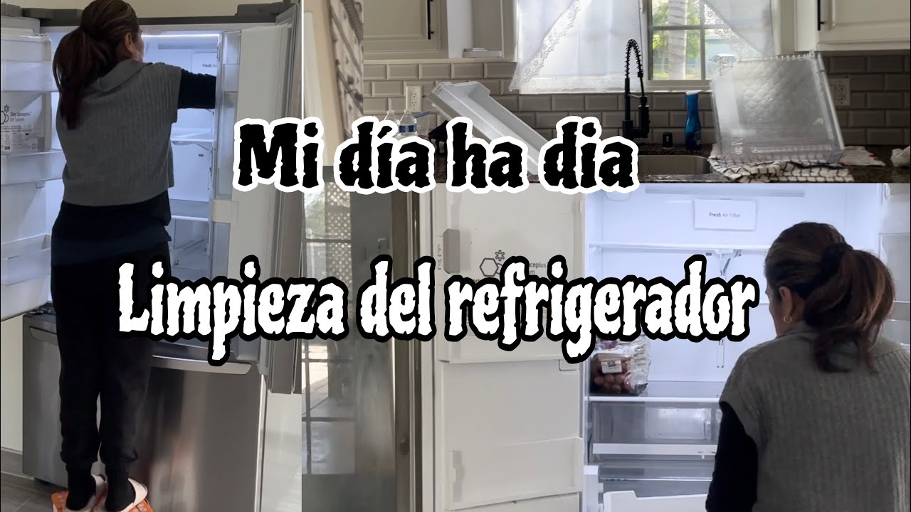 LIMPIEZA DEL REFRIGERADOR 