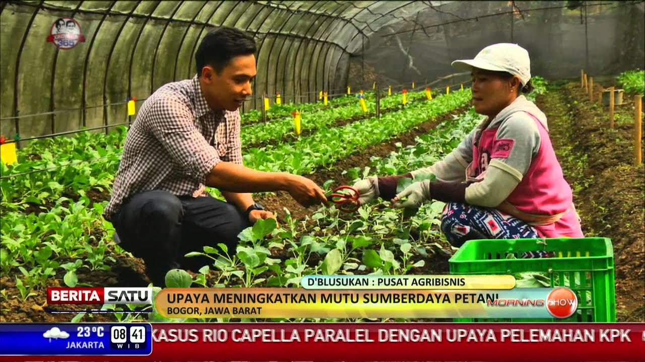 D'Blusukan: Pusat Agribisnis #1