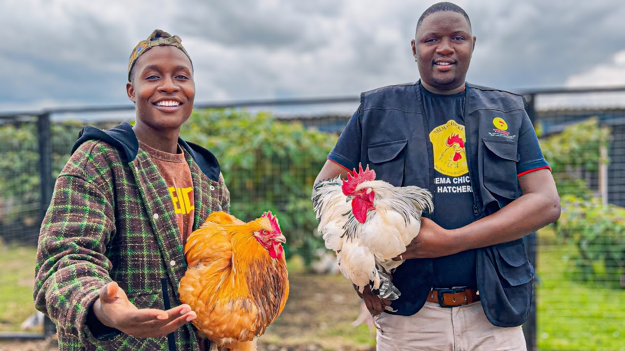 How He Became The BEST Road Runner Farmer in Africa