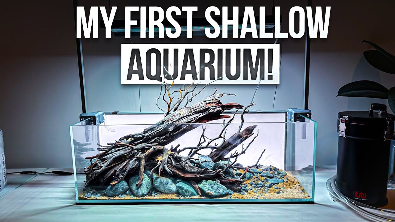 Shallow Aquarium Build! Amazing Hardscape