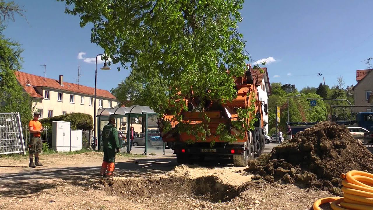 Großbaumverpflanzung von der Ledergasse an den Josefsbach