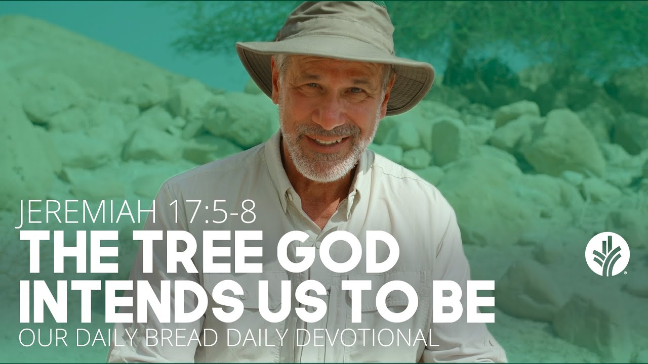 The Tree God Intends Us to Be | Jeremiah 17:5–8 | Our Daily Bread Video Devotional