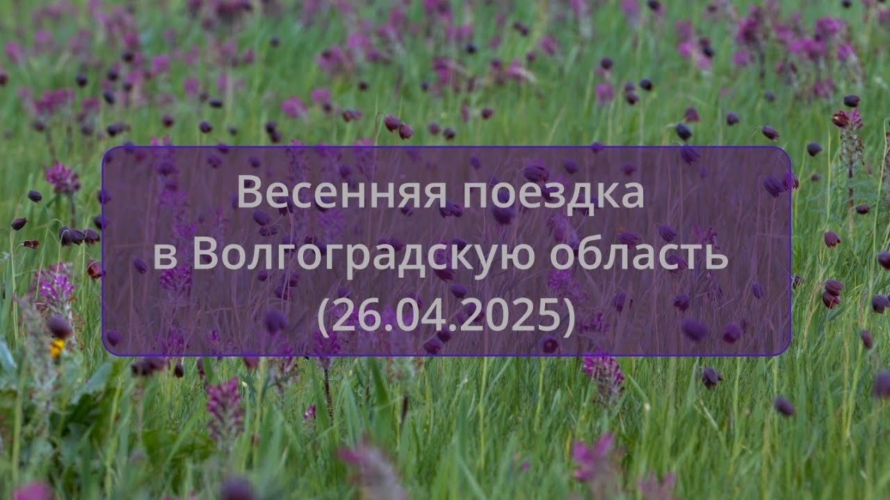 Весенняя поездка в Волгоградскую область (26.04.2025)