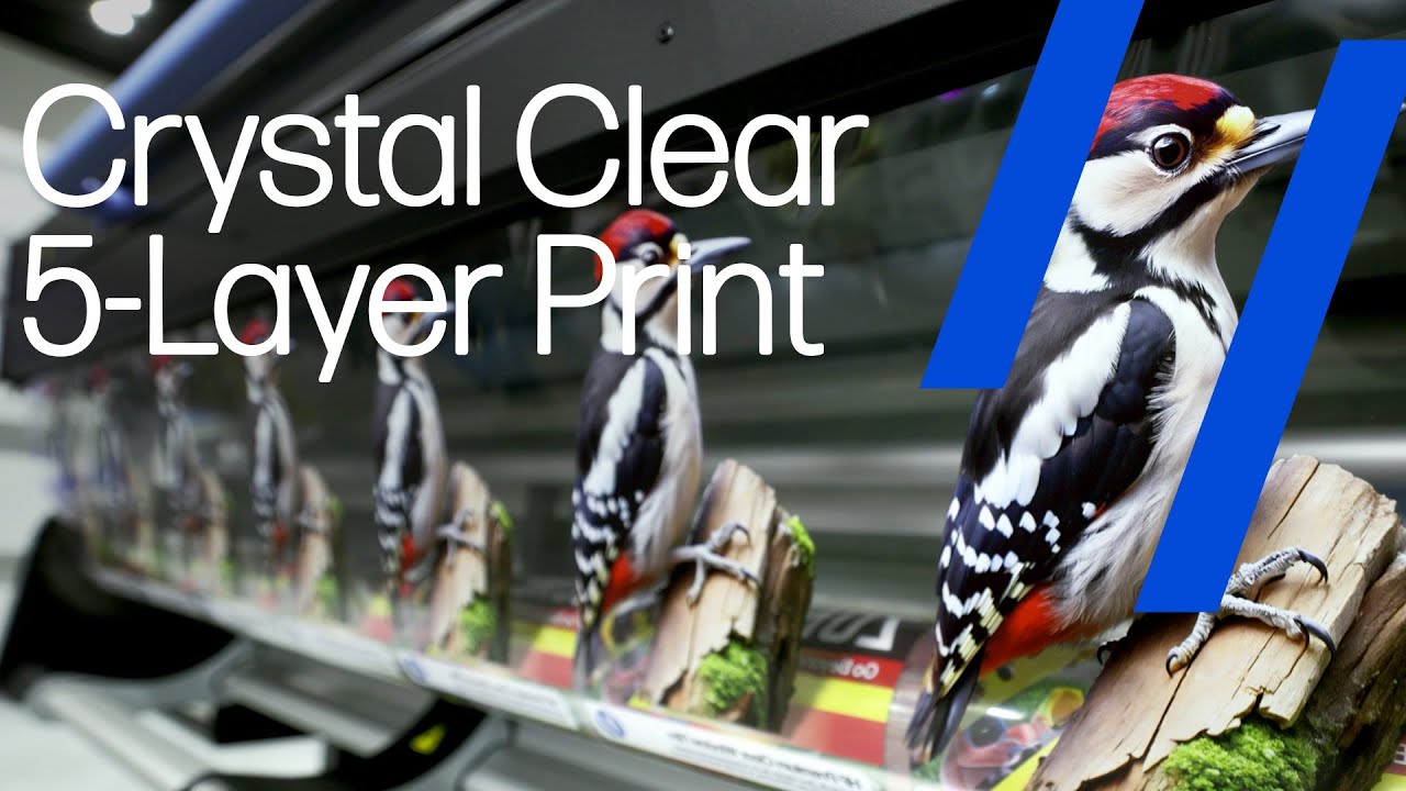 HP Premium Clear Window Film | Premium Material & Optically Clear