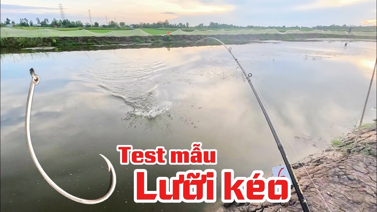 C&acirc;u c&aacute; l&oacute;c // test mẫu lưỡi k&eacute;o th&eacute;p ar15 #huukhuynhkiengiang (tập 219)