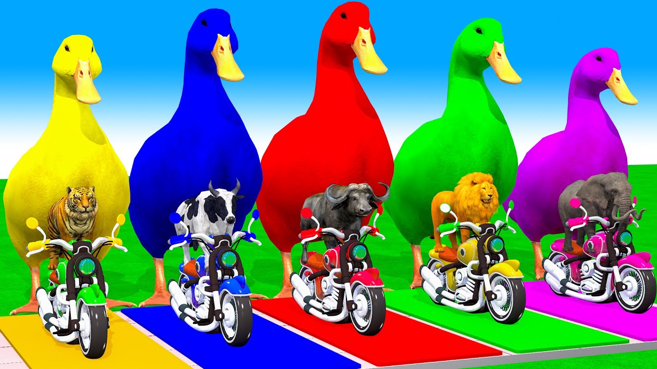 Long Slide Game With Cow Elephant Gorilla Hippopotamus Tiger 3d Animal Game Funny 3d Animals