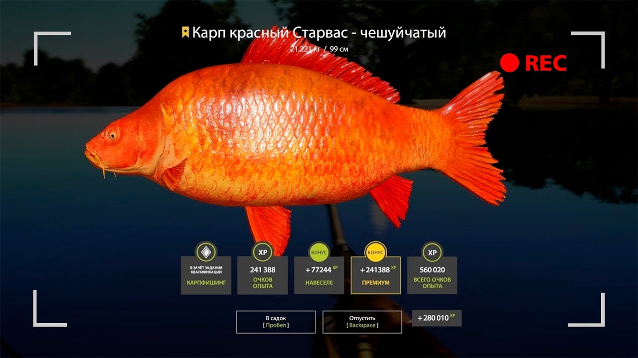 А ЧТО ТАМ ПО ТРОФЕЯМ? ХОДИМ ЗАКРЫВАЕМ в Русской рыбалке 4! РР4!