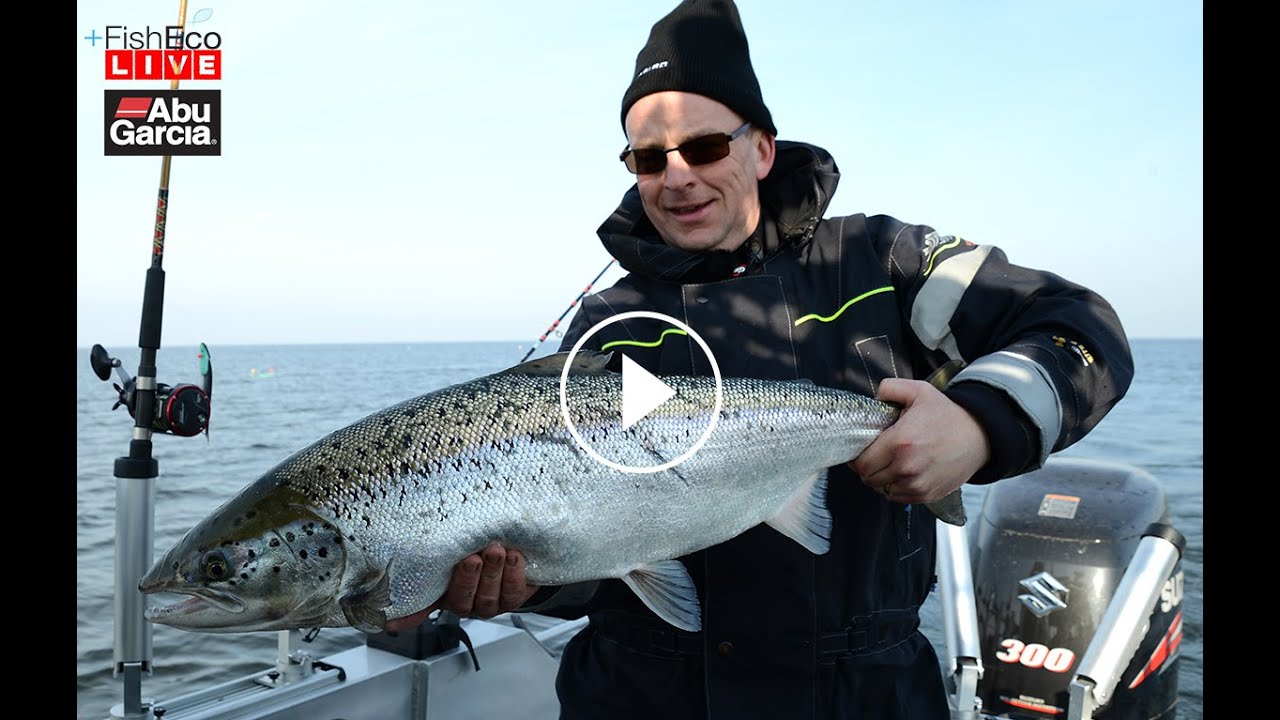 HD version Livefiske med Petter Larsson - Vi trollar lax på Vänern