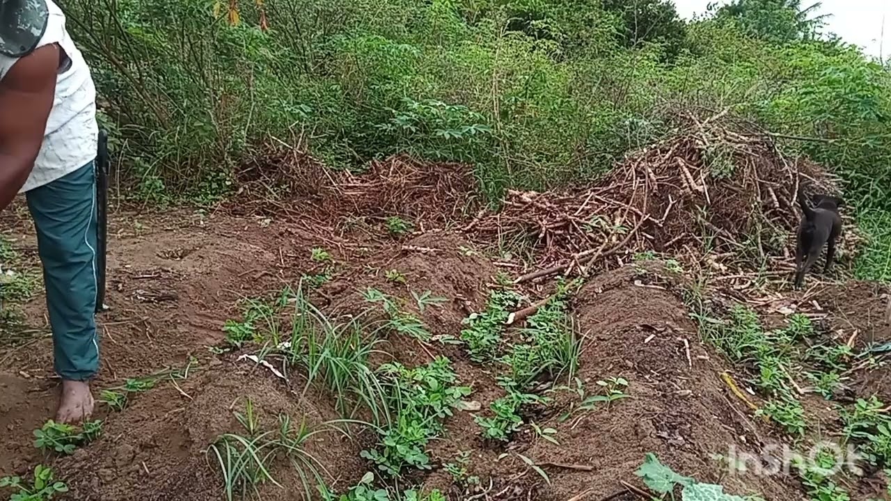 Mais um dia de trabalho vencido 