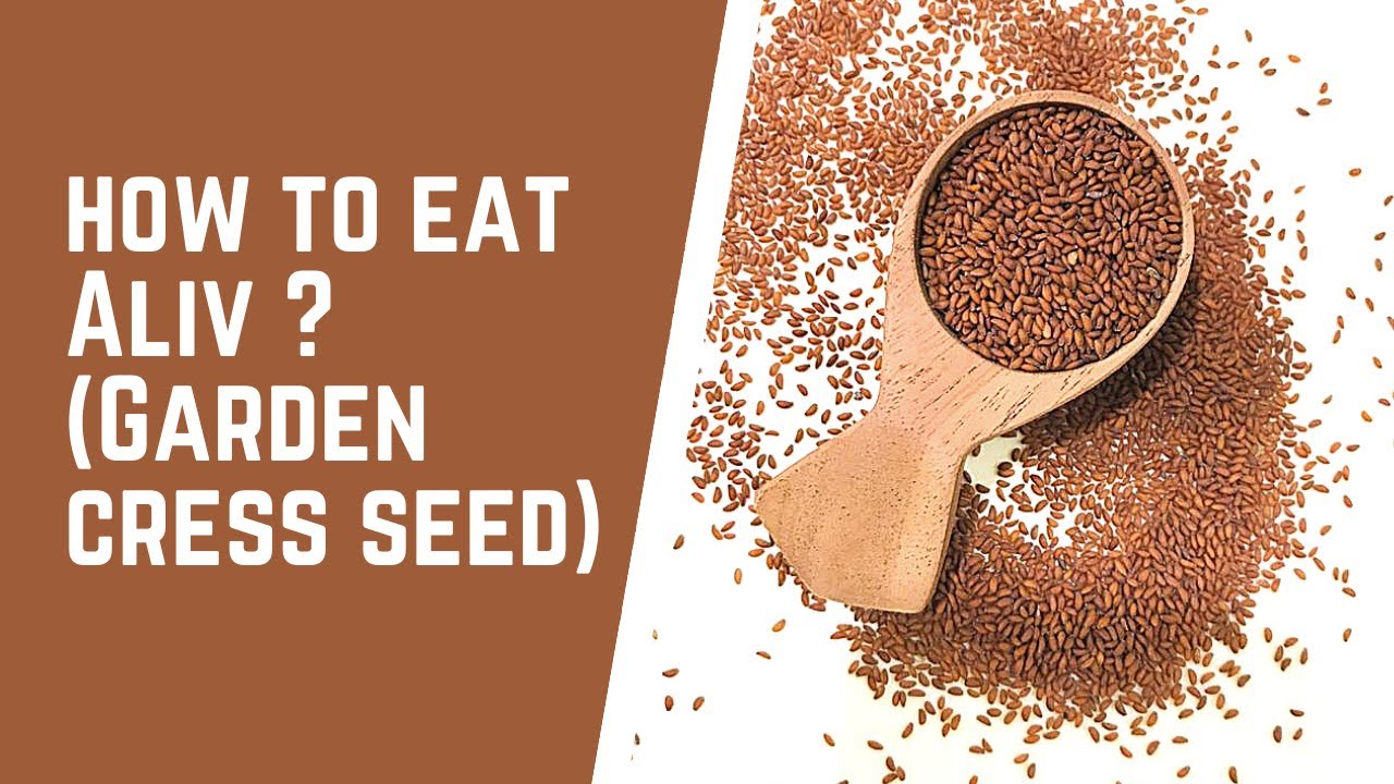 How to take Aliv (Gardencress seed)?