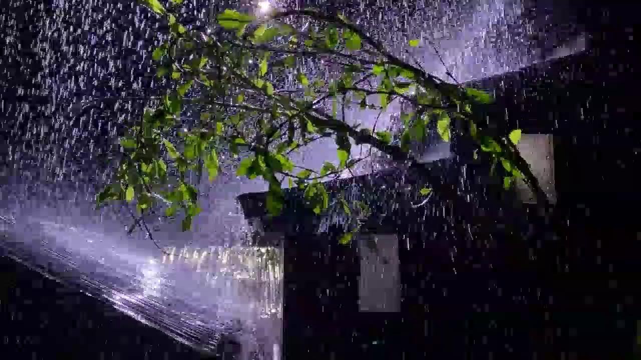 Deep Sleep Rain 🌙 Heavy Rain Falling on Tin Roof
