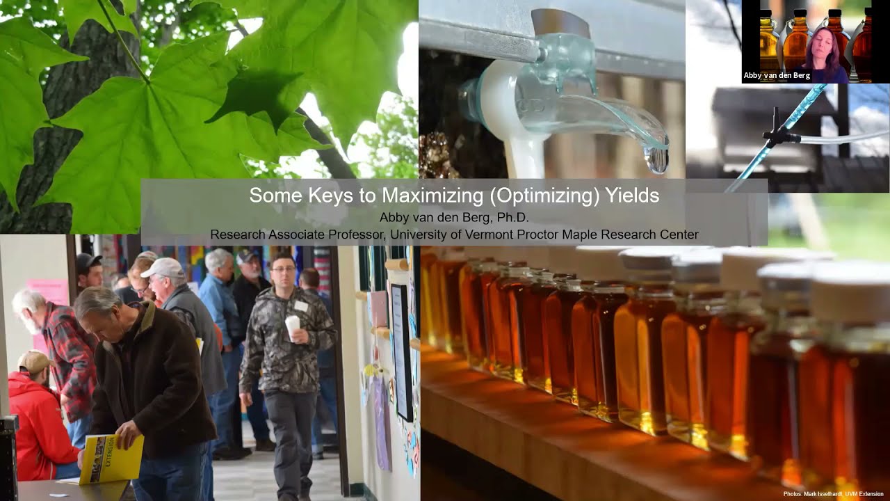 Keys to high maple yield   May 25 2021  Dr Abby van den Berg   NAMSC