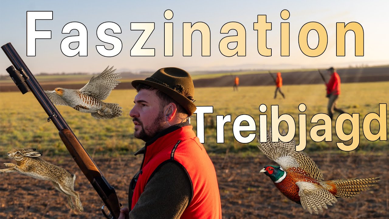 Faszination Treibjagd | Zu Gast im Niederwildrevier in Rheinhessen | WaldGeist