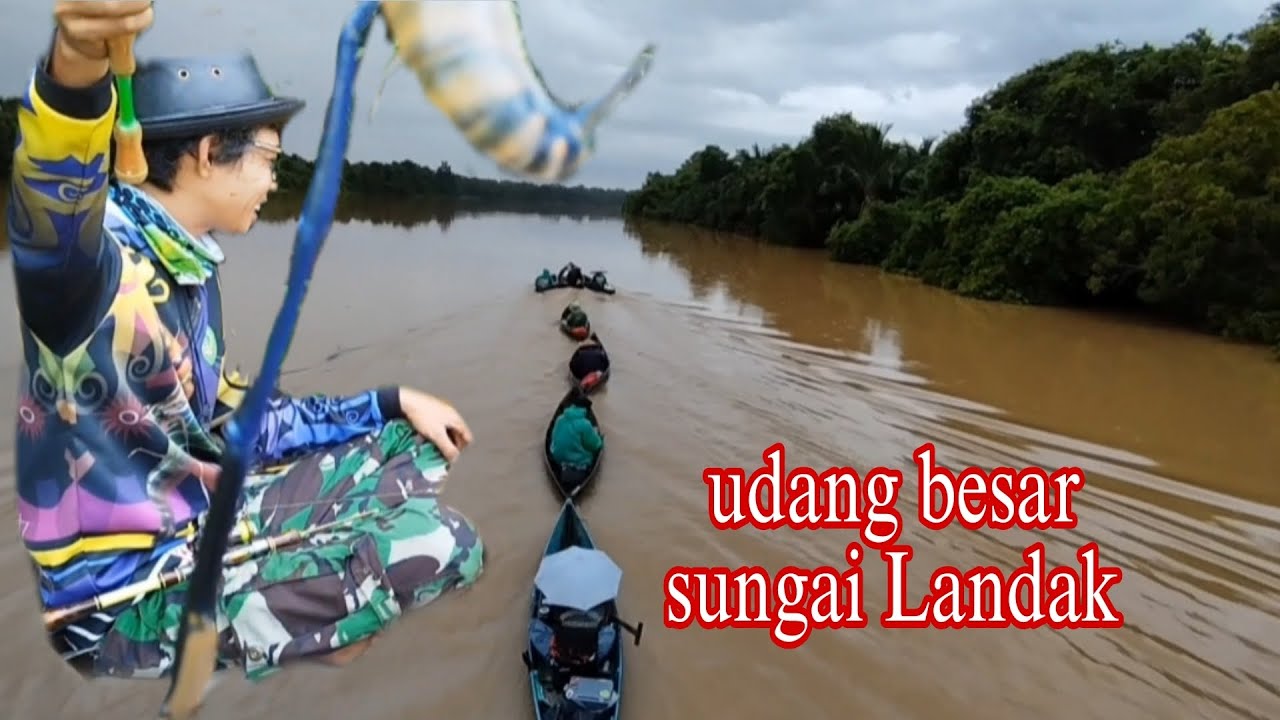 DETIK DETIK AHIR PUASA‼️ SAMBARAN UDANG GALAH SUNGAI LANDAK