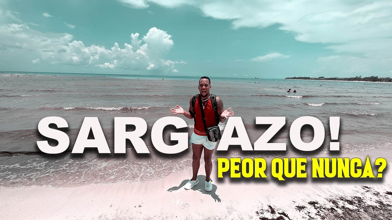 😱PLAYA DEL CARMEN Lleno de SARGAZO  5 DE JULIO 2023 Esta esta HORRIBLE / PUNTA ESMERALDA 😱