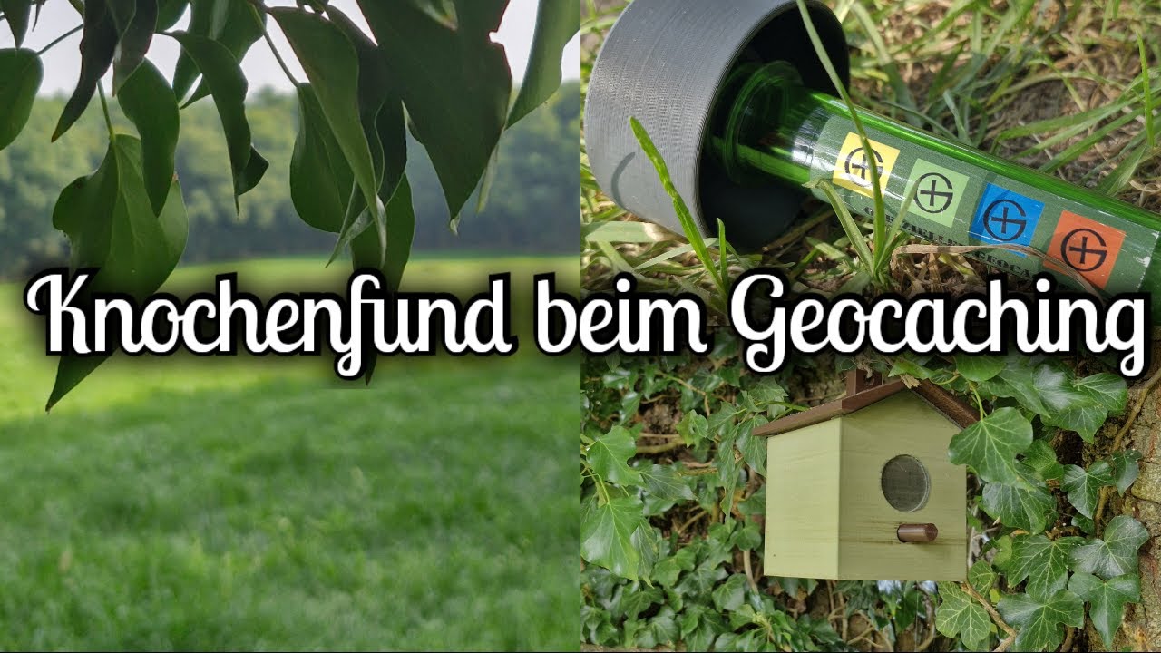 Knochenfund bei der Geocaching Runde
