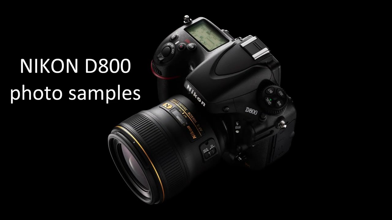 NIKON D800. 10 years old but it does not fear comparisons.