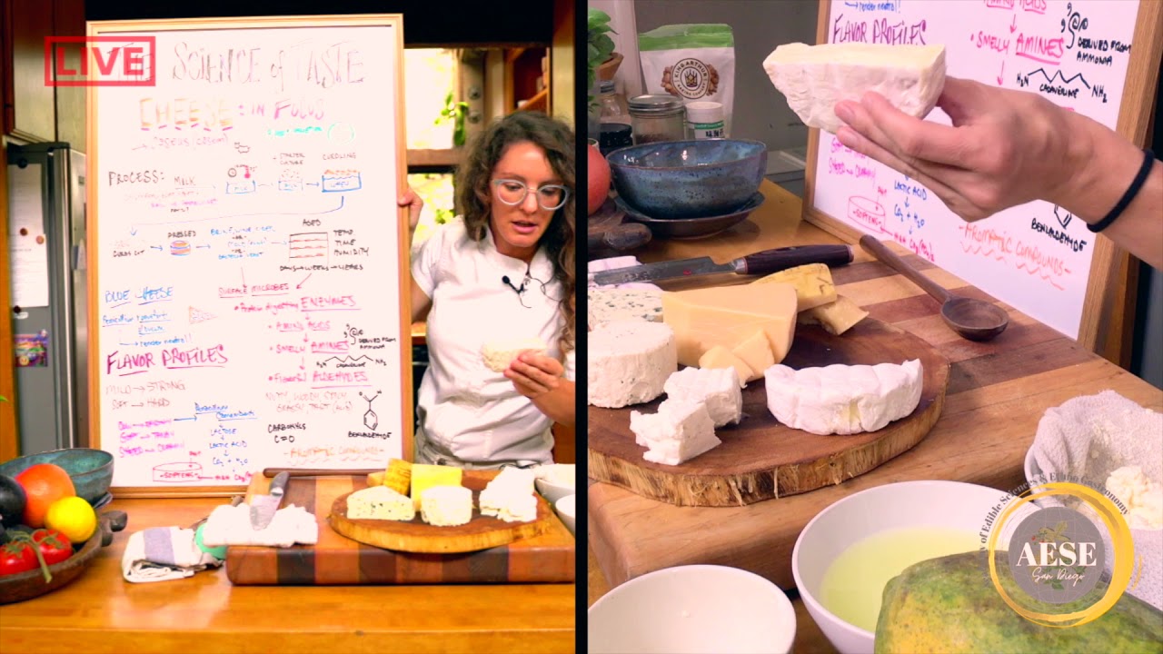 The Science of Taste- Episode 9- In Focus: Cheese!
