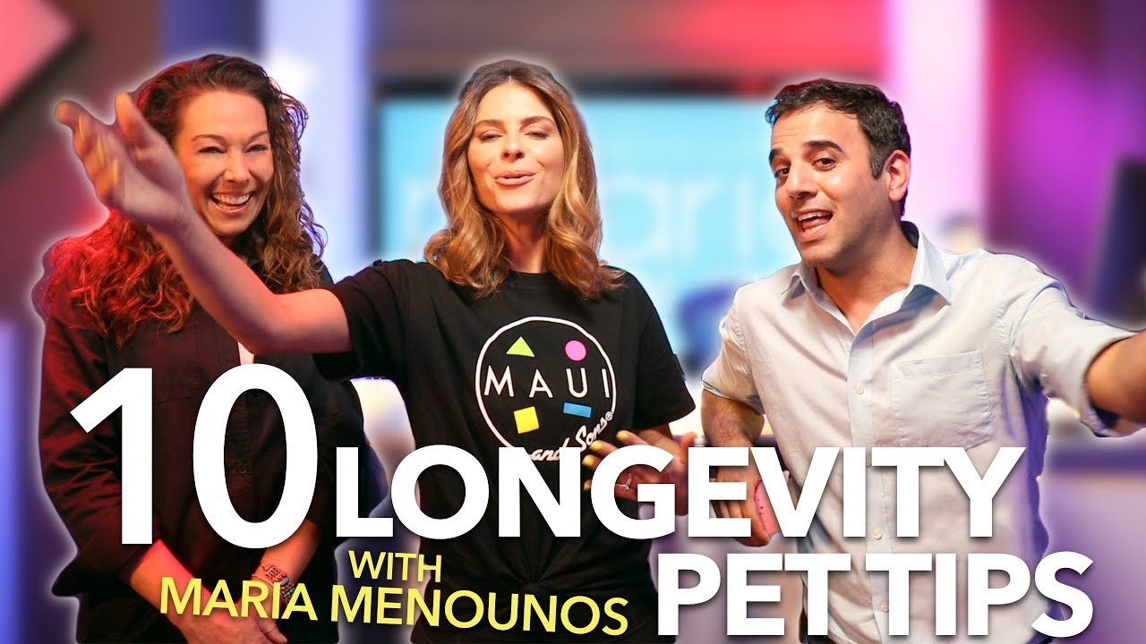 10 Longevity Tips for your Pets
