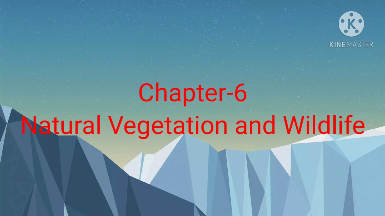 Alpine Vegetation
