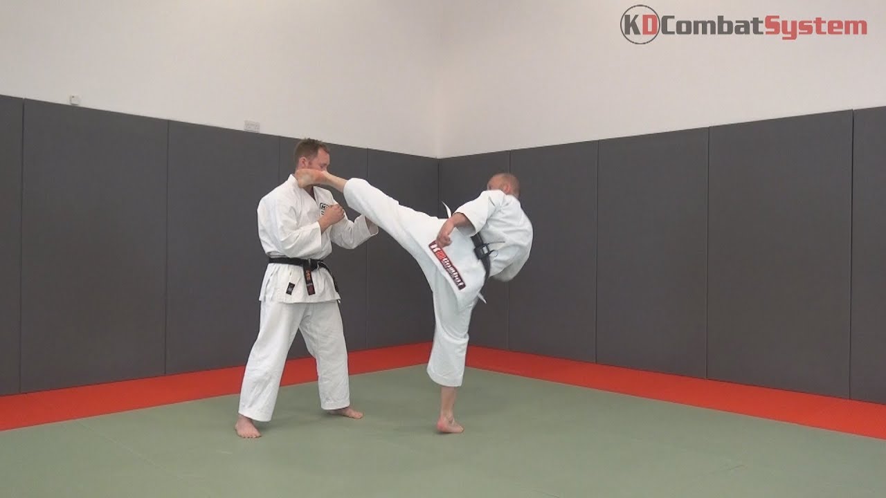 KDCombat System Shotokan Karate:  Module 4