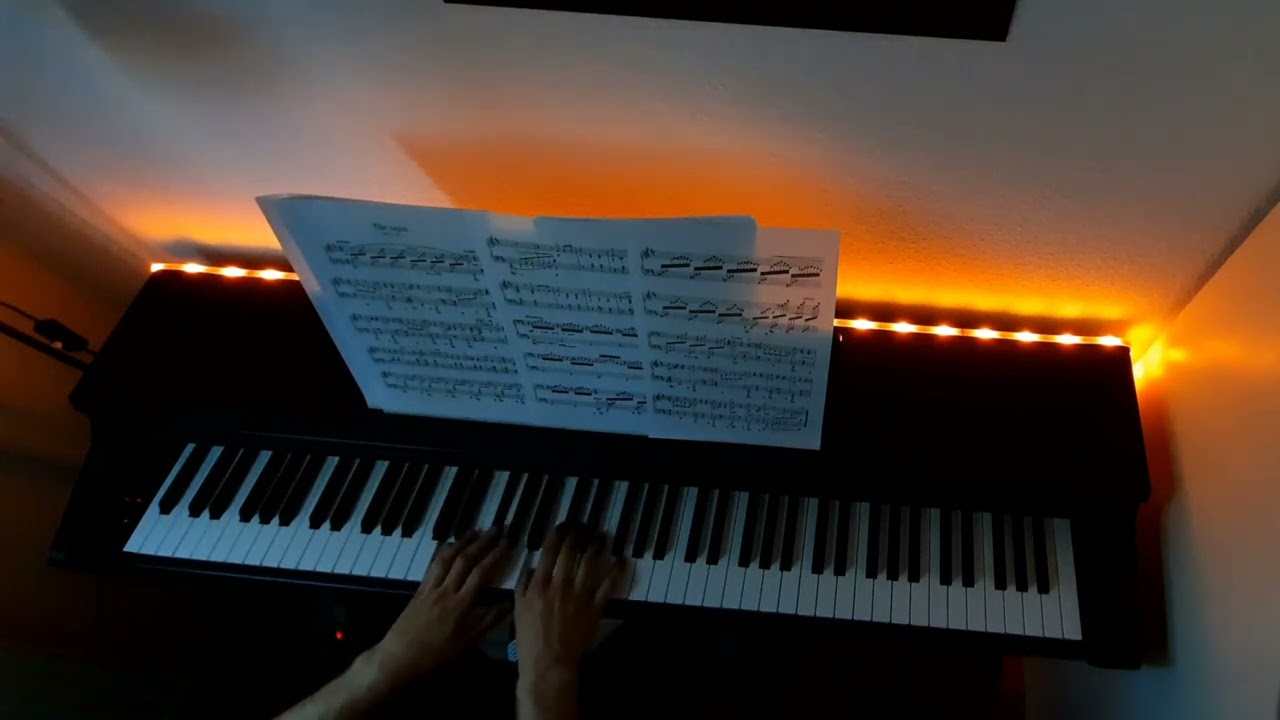 Jean Sibelius: 