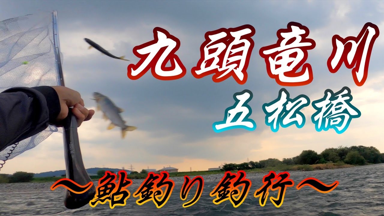 今期初の九頭竜川五松橋！！爆釣なるか？？