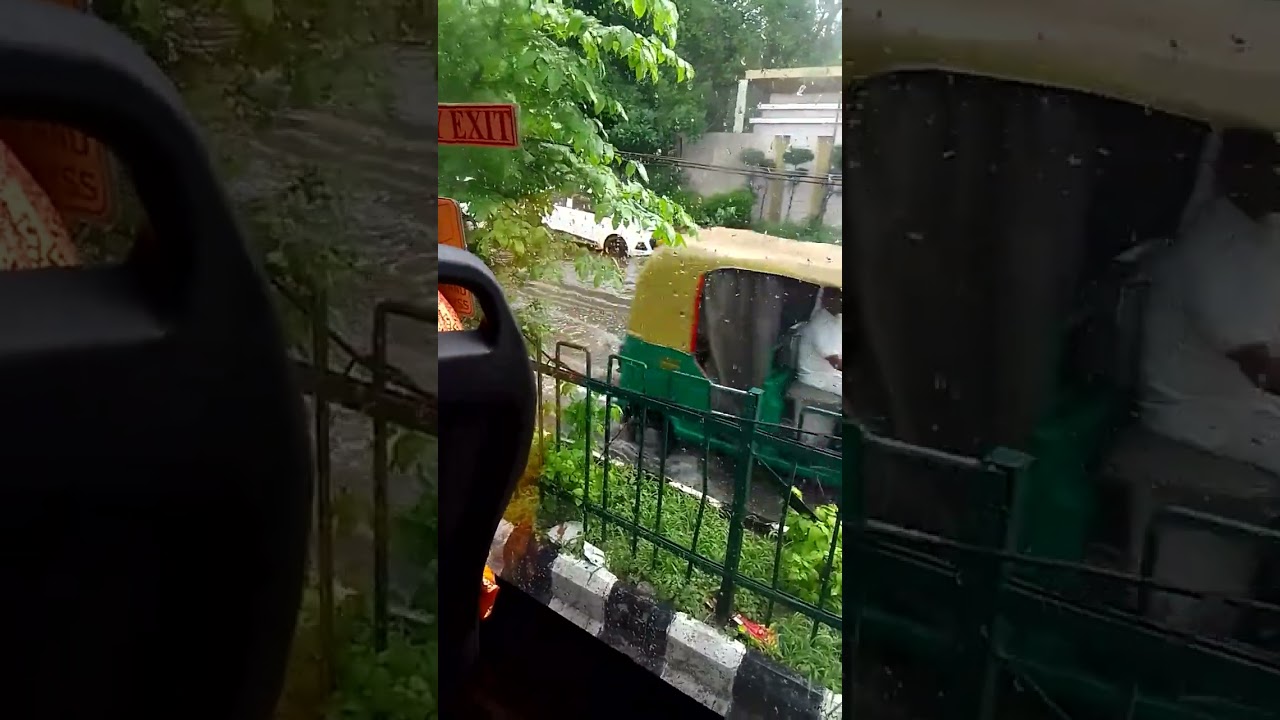 kapashera rainy day