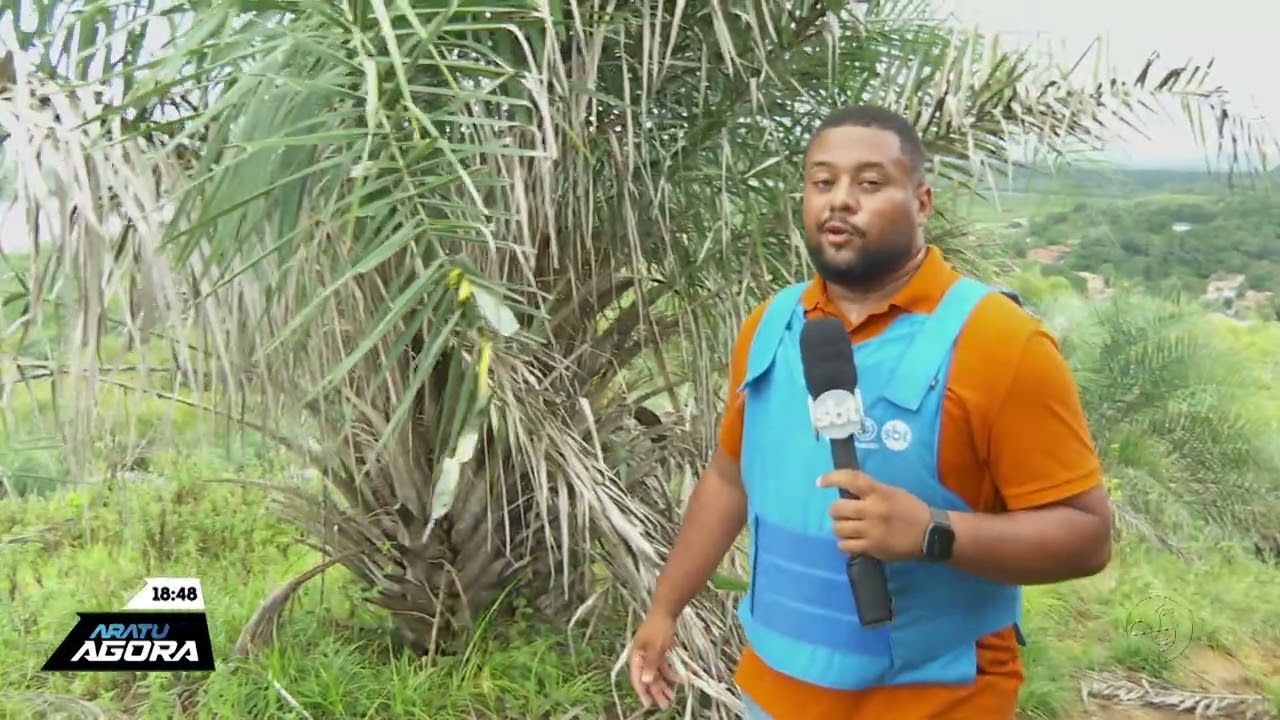 Tribunal do crime: Traficantes do CV executam membro do BDM | ARATU NOTICIAS | TV ARATU
