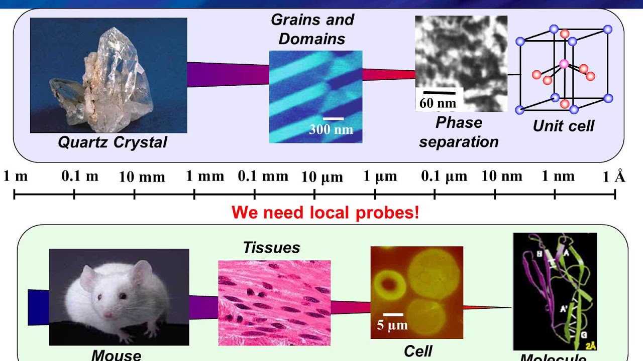 Webinar:  Introduction to Piezoresponse Force Microscopy PFM